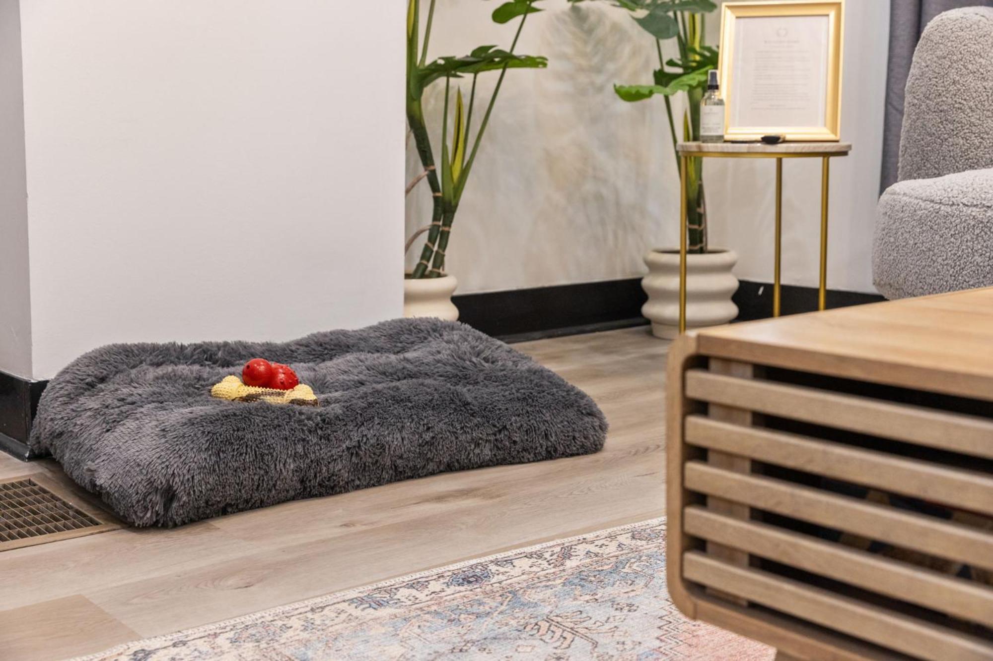 Heart Of Downtown, 5 Mins To Andy Warhol Museum, Parking Available, Private Fenced Backyard, Smart Tv, Washer And Dryer In Unit Hébergement de vacances